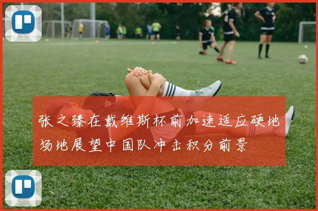 张之臻在戴维斯杯前加速适应硬地场地展望中国队冲击积分前景